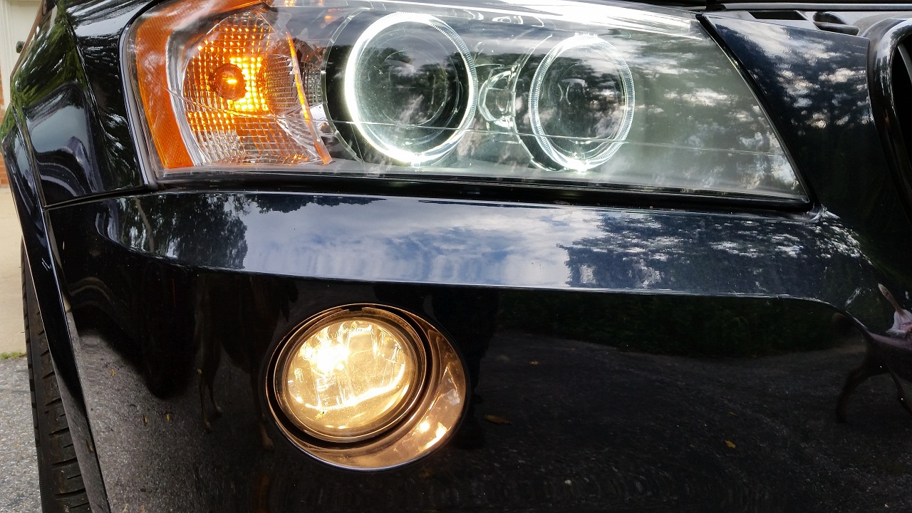 An image attached to this post, provided by the poster