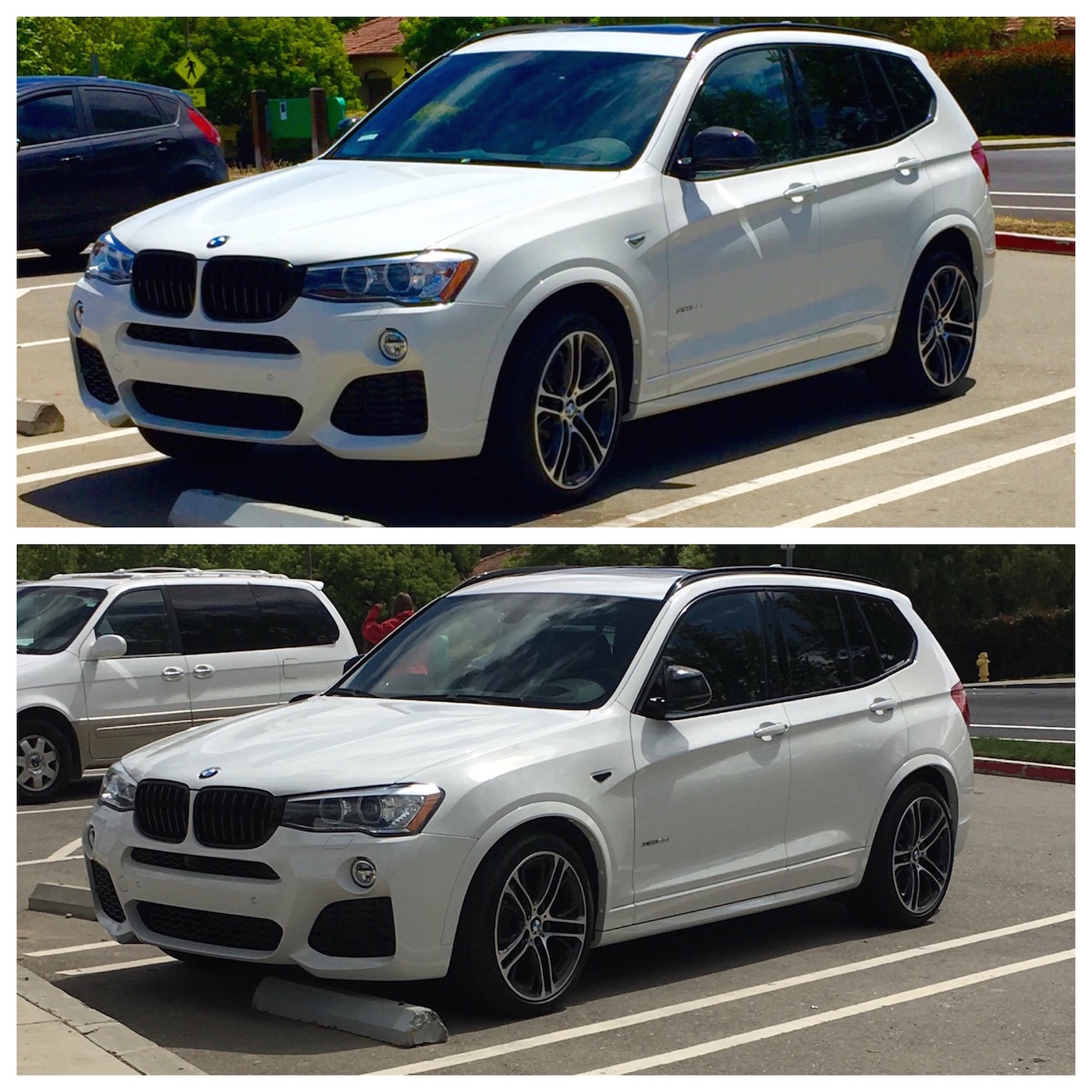 An image attached to this post, provided by the poster