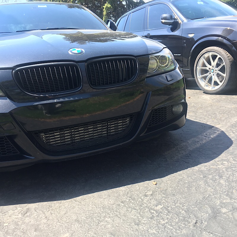 An image attached to this post, provided by the poster