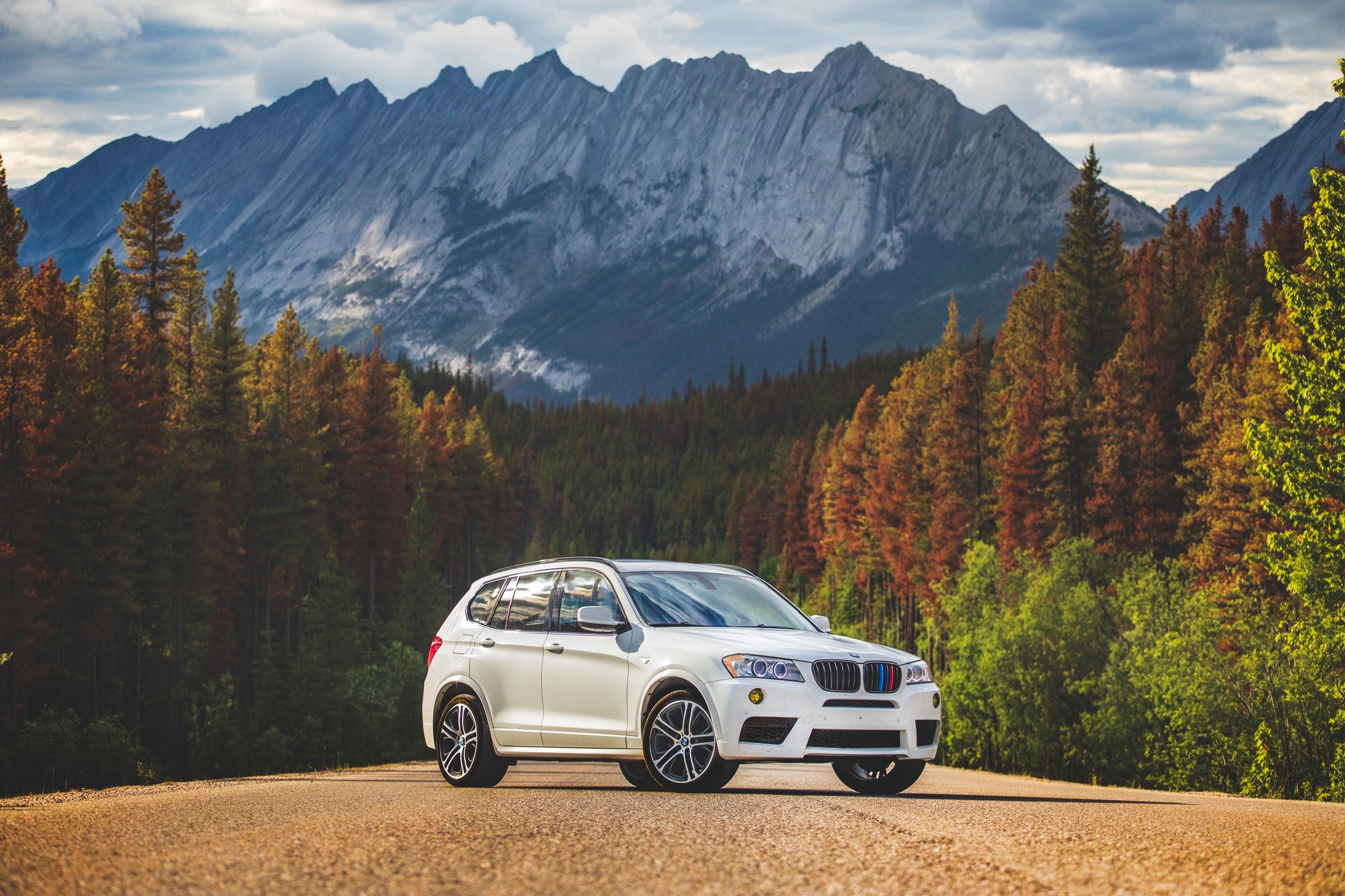 An image attached to this post, provided by the poster