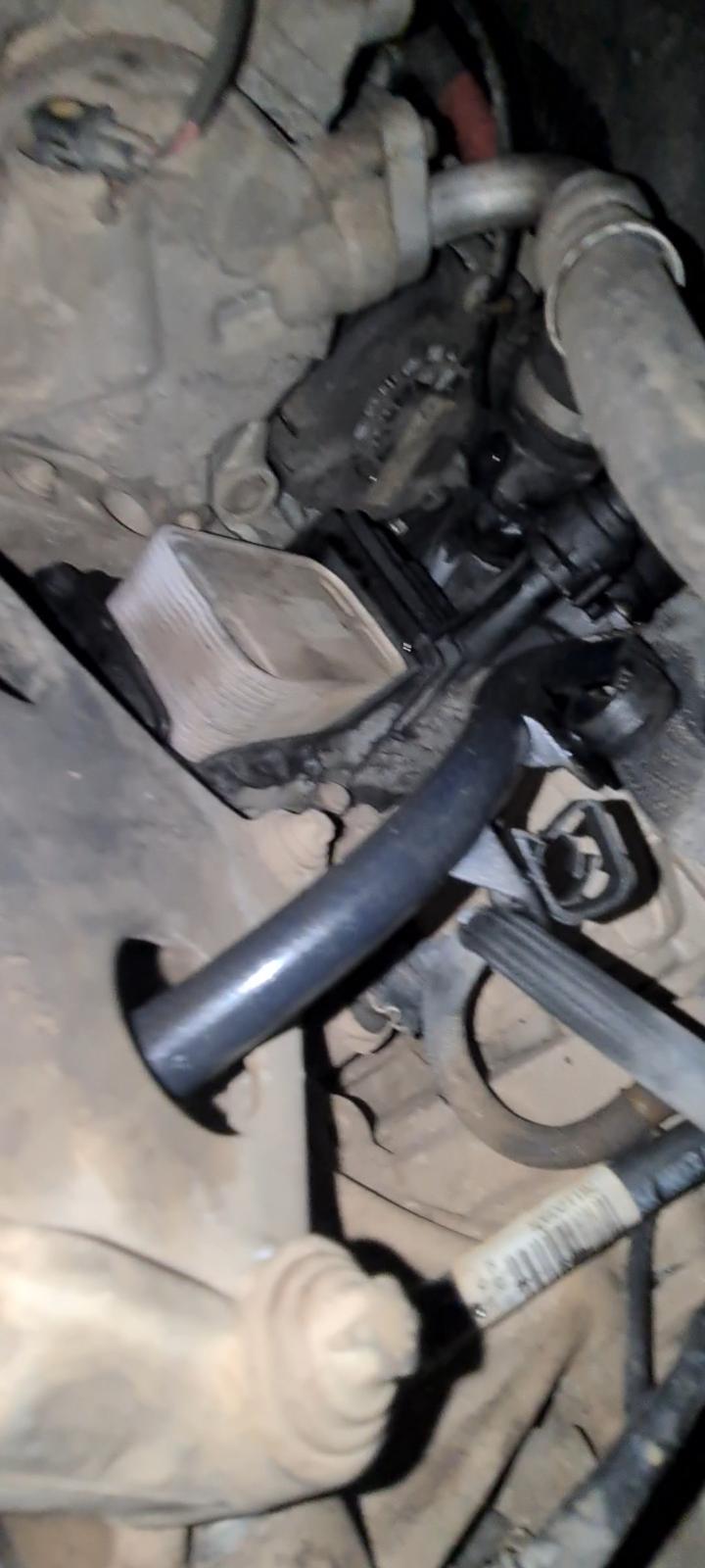 An image attached to this post, provided by the poster