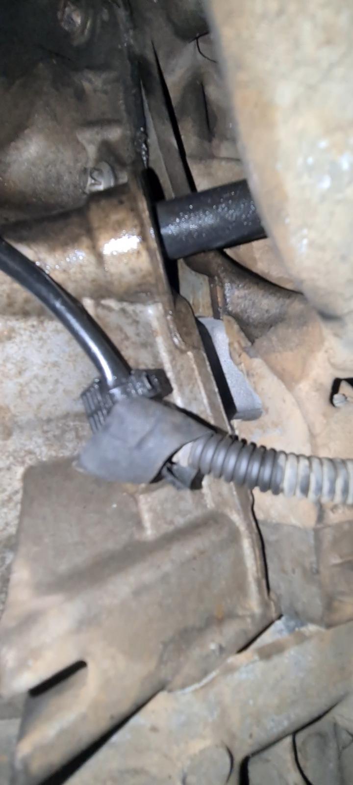 An image attached to this post, provided by the poster