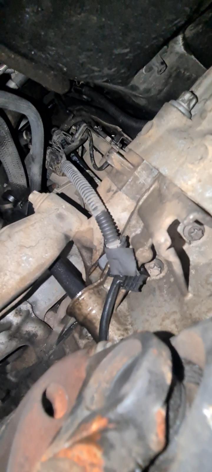 An image attached to this post, provided by the poster