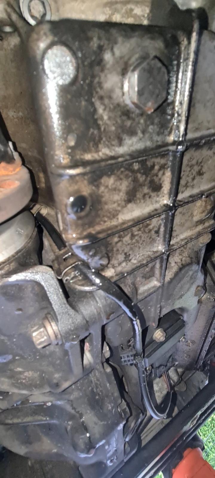 An image attached to this post, provided by the poster