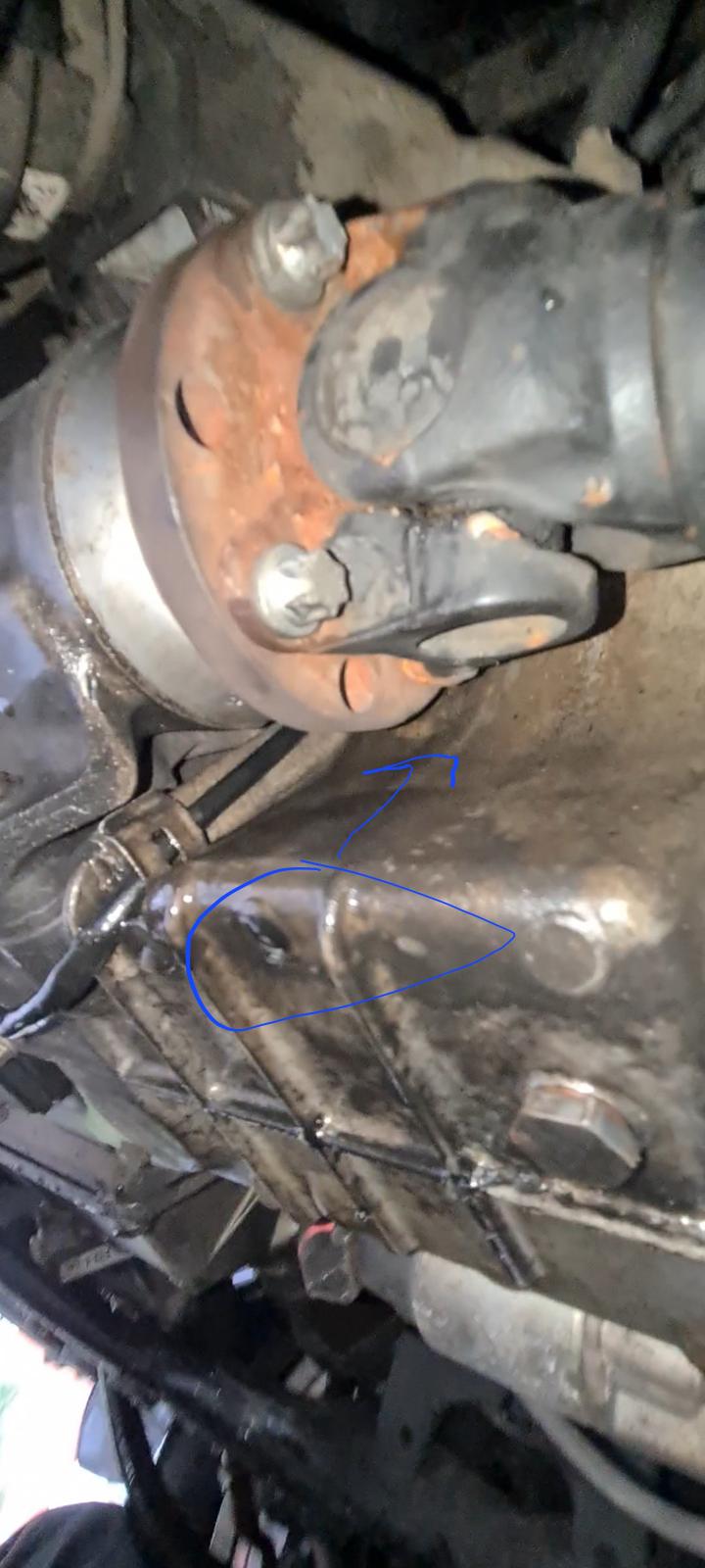 An image attached to this post, provided by the poster