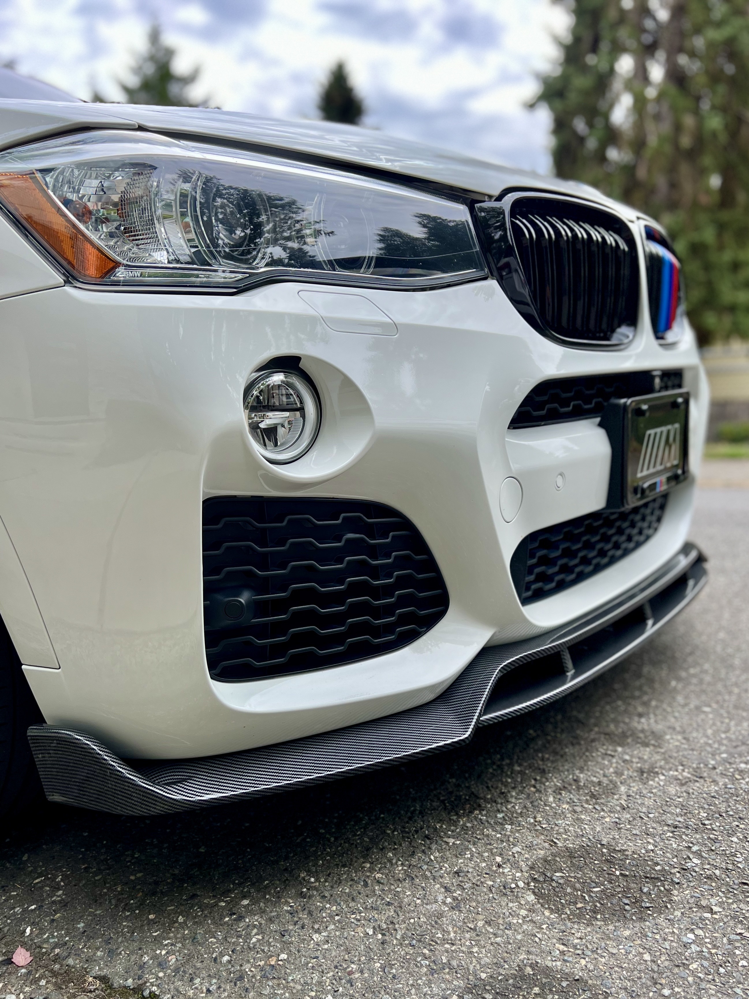 An image attached to this post, provided by the poster