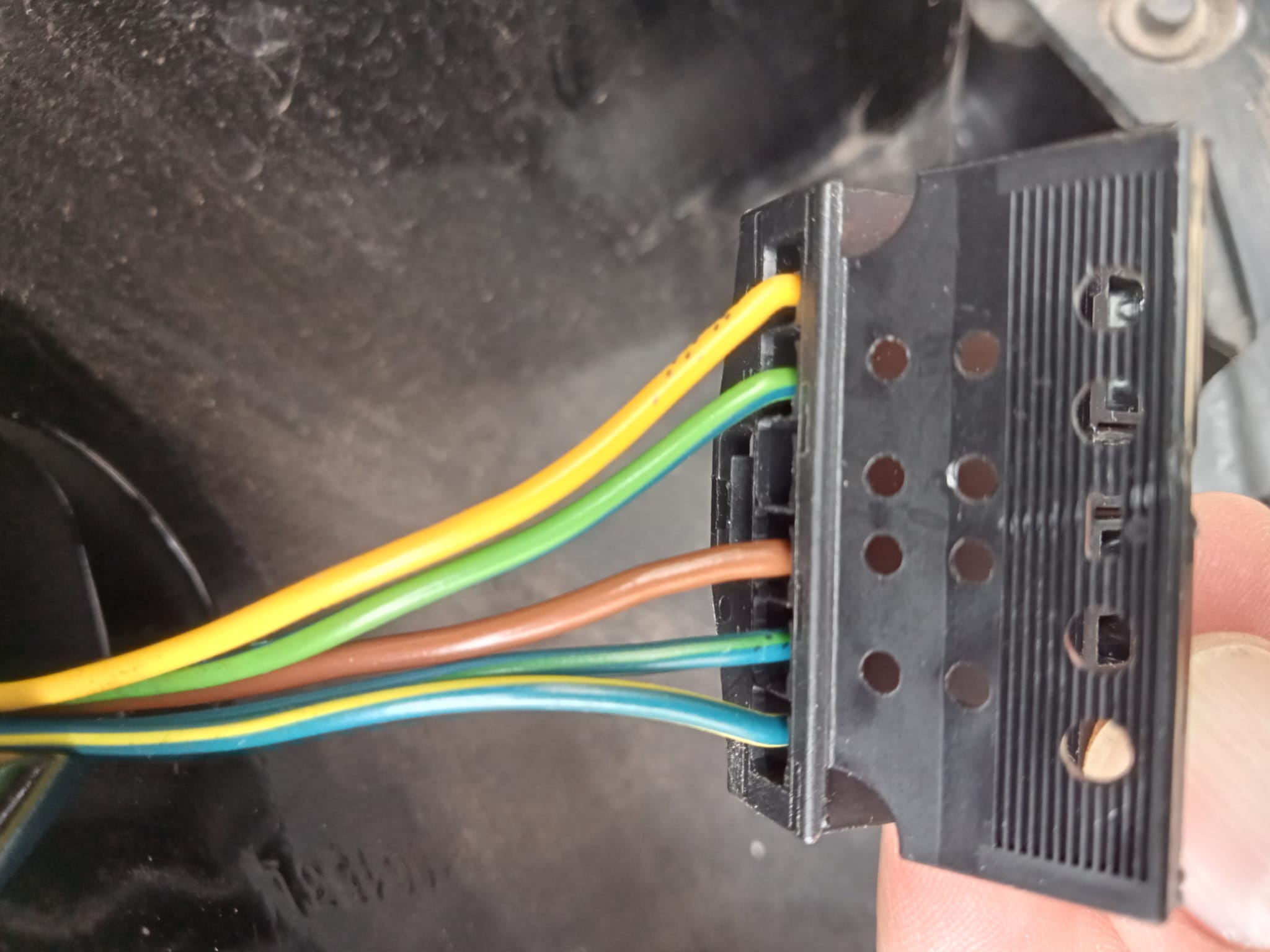 An image attached to this post, provided by the poster