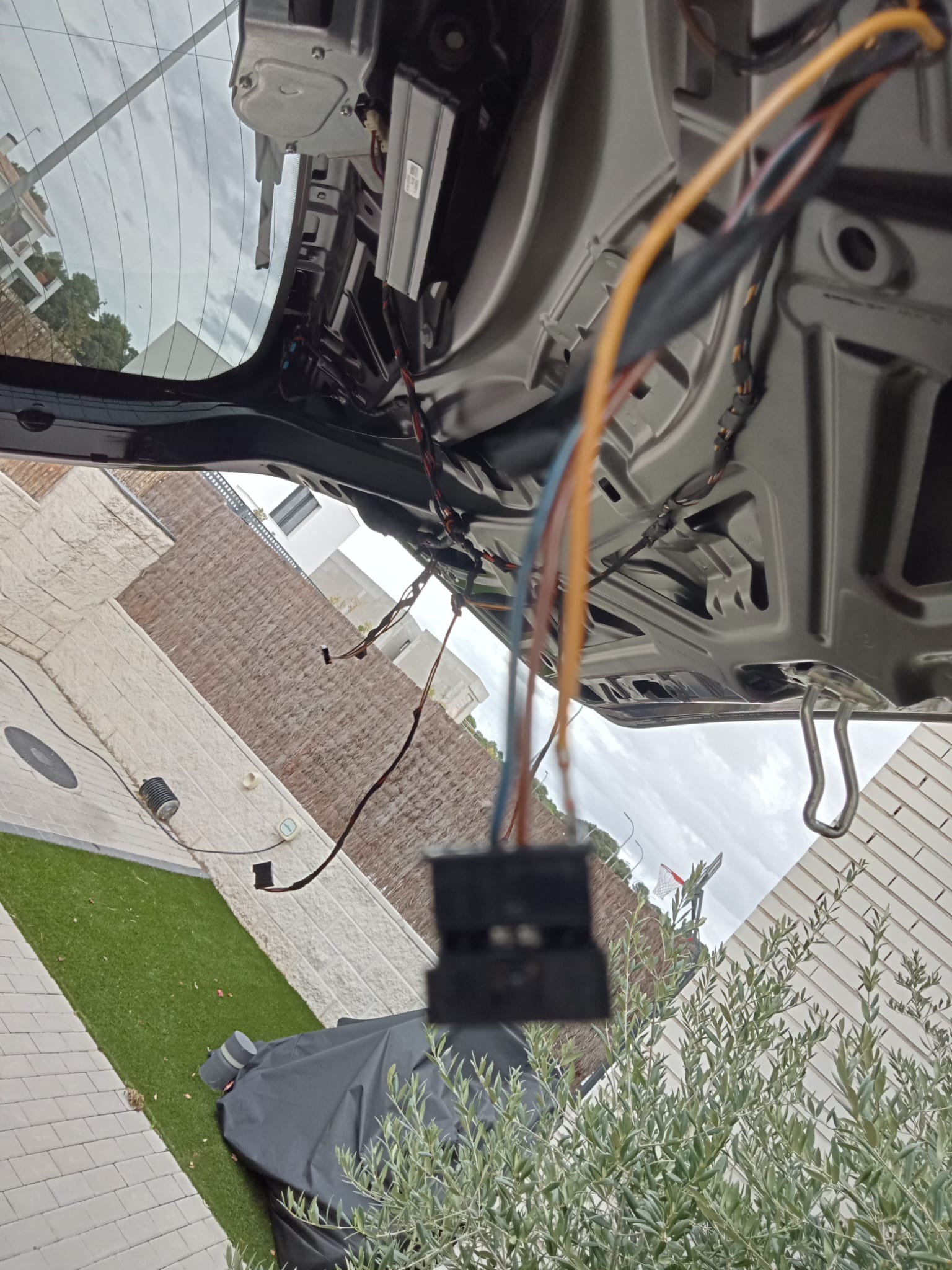 An image attached to this post, provided by the poster