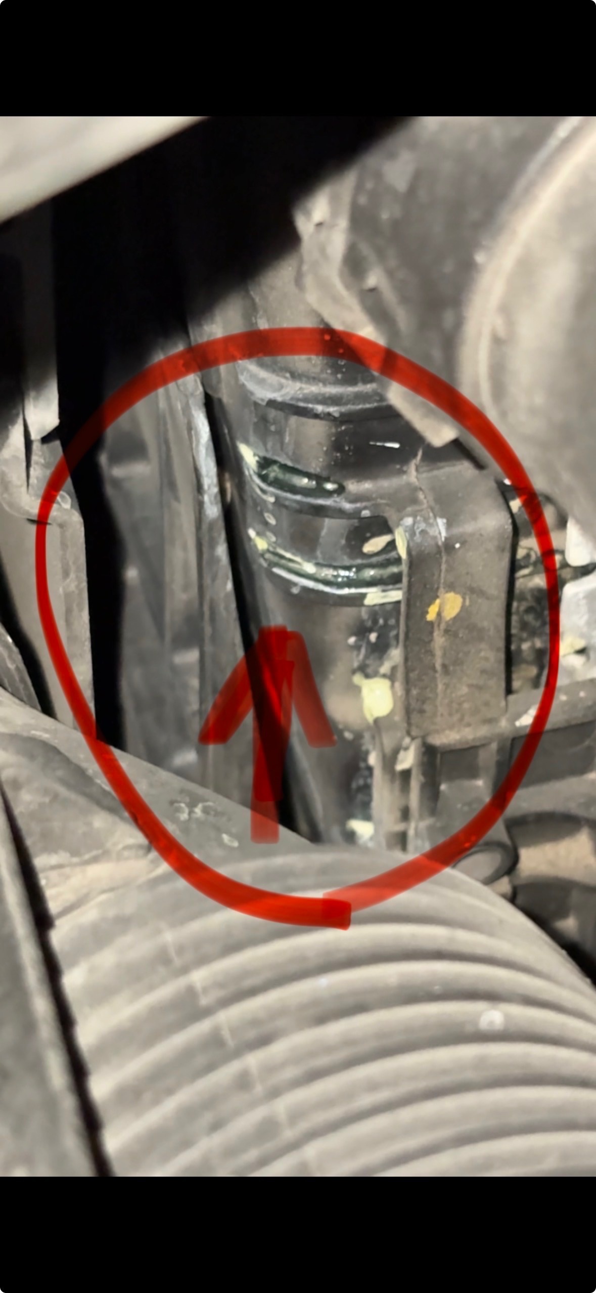 An image attached to this post, provided by the poster