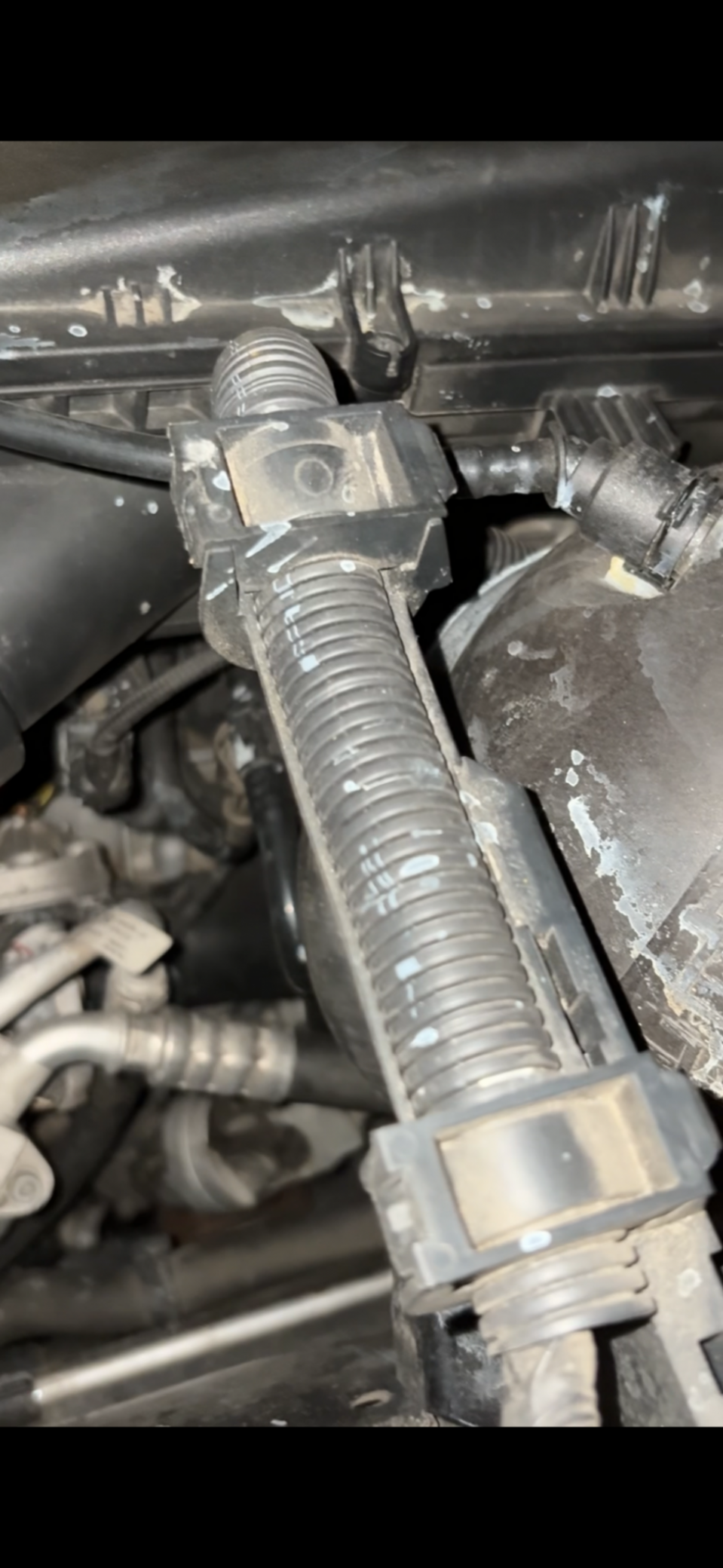 An image attached to this post, provided by the poster