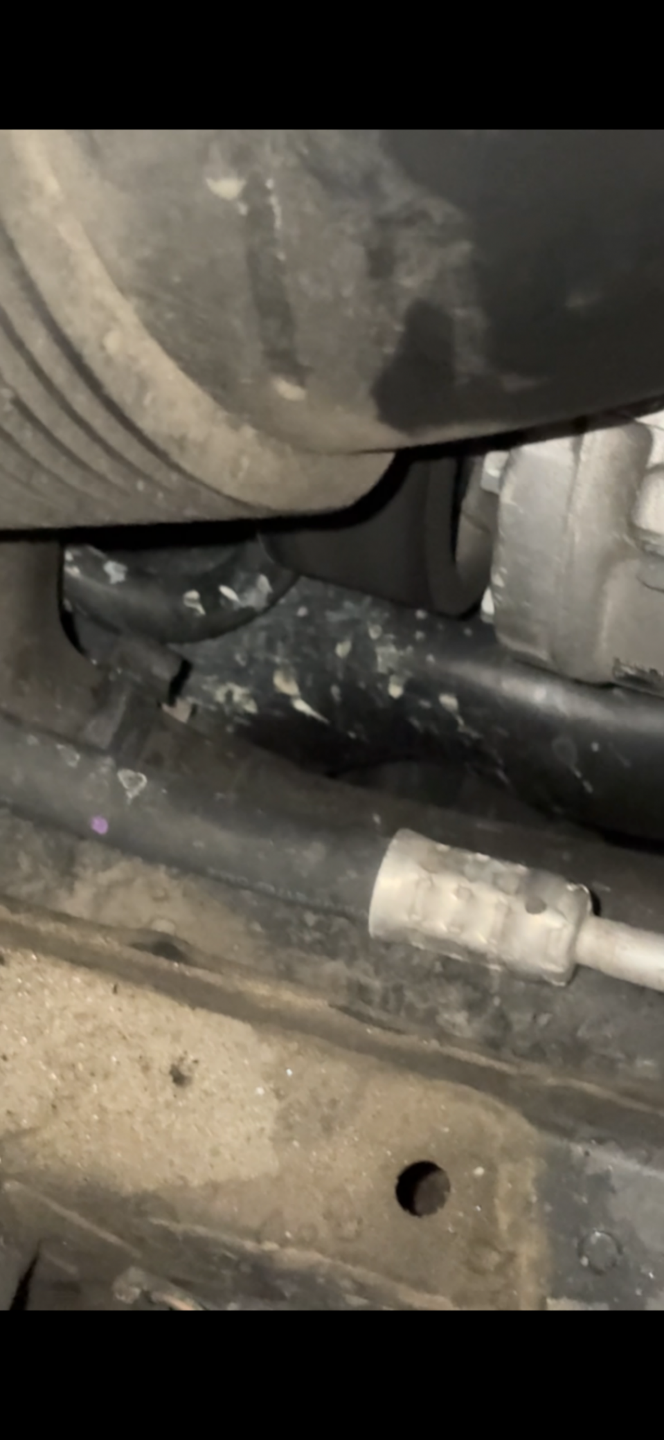 An image attached to this post, provided by the poster