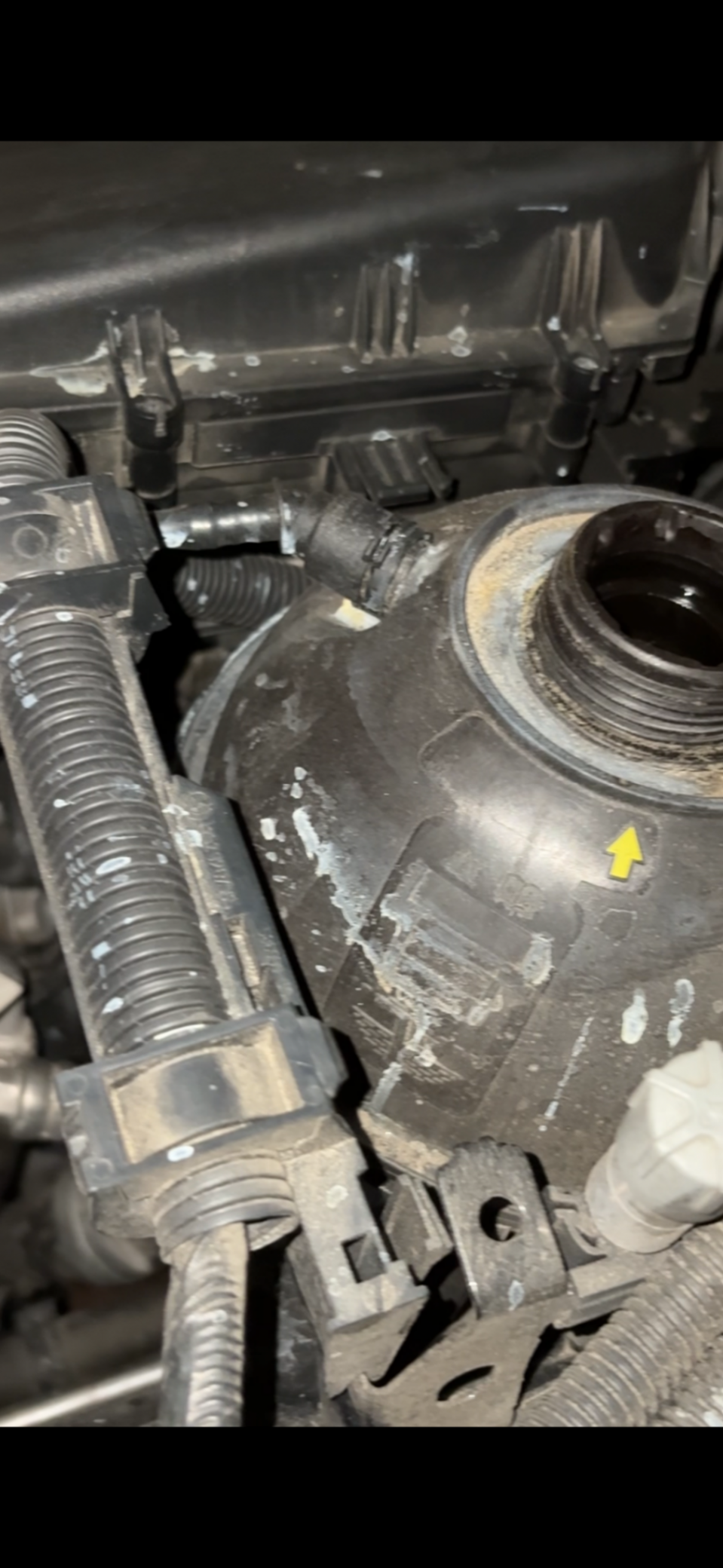 An image attached to this post, provided by the poster