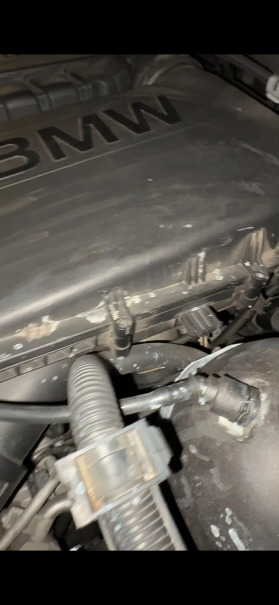 An image attached to this post, provided by the poster