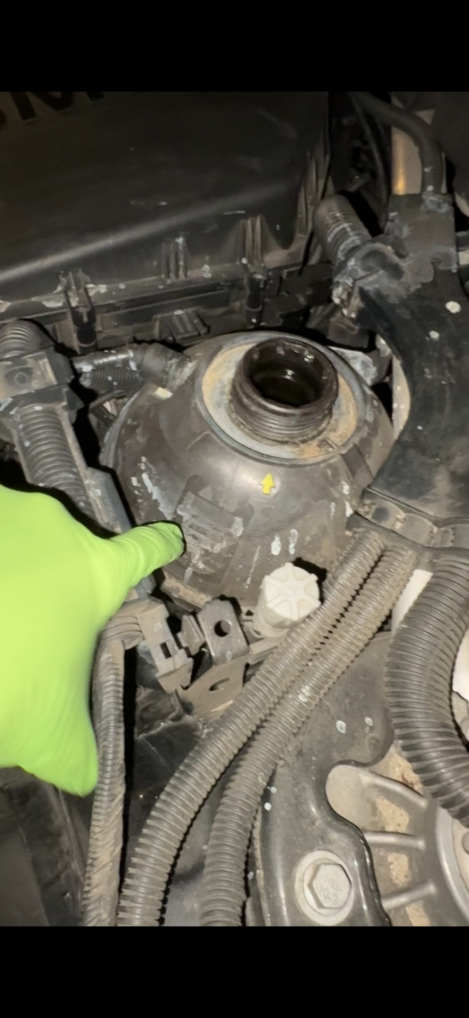 An image attached to this post, provided by the poster