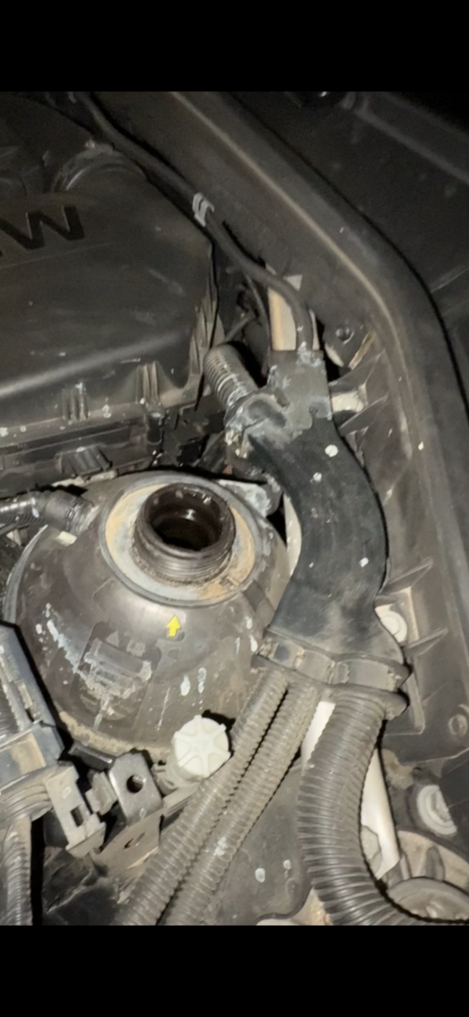 An image attached to this post, provided by the poster