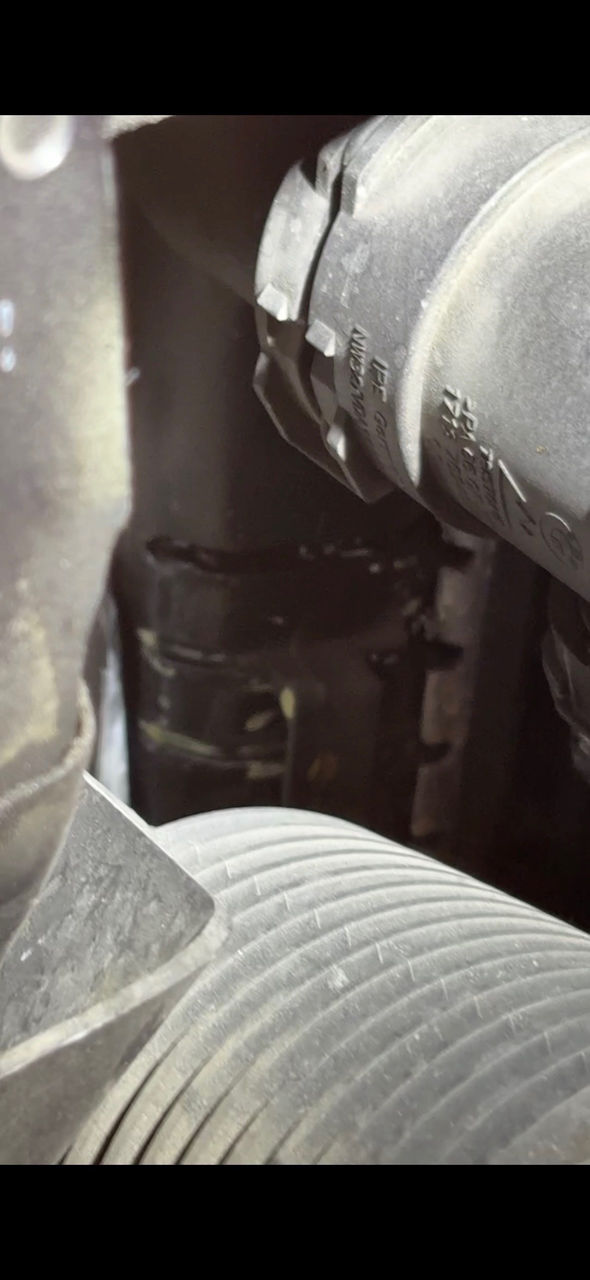 An image attached to this post, provided by the poster