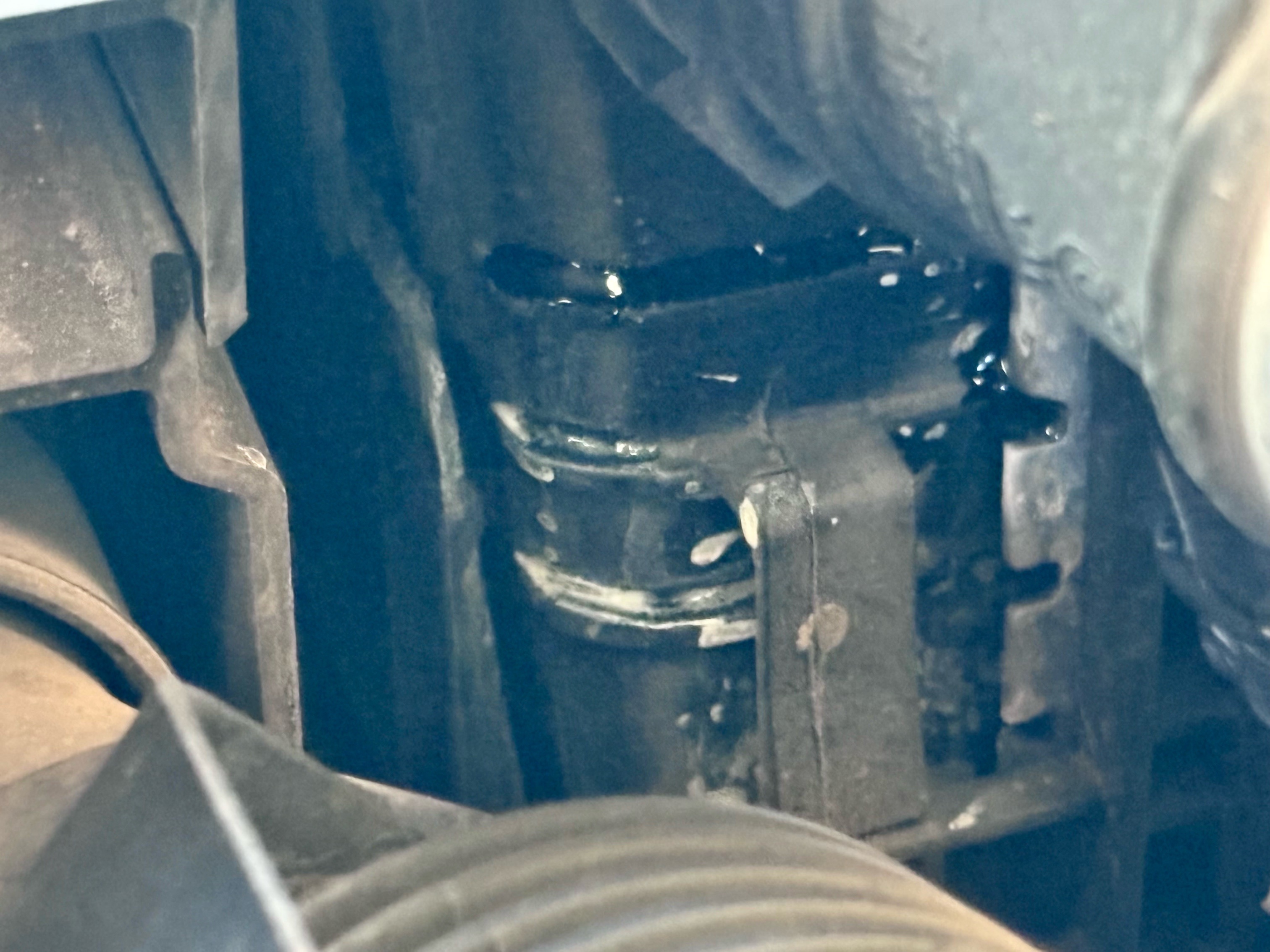 An image attached to this post, provided by the poster