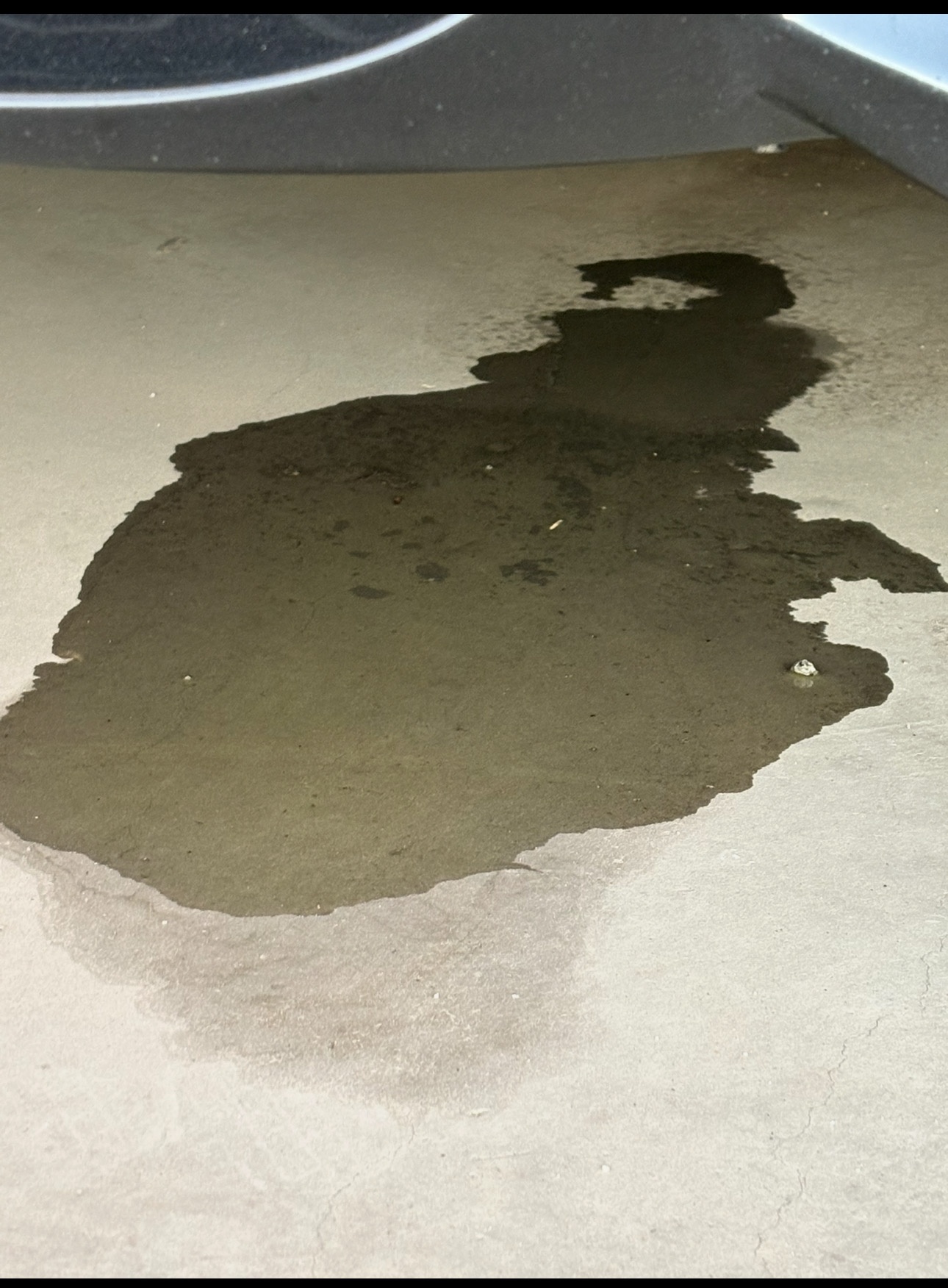 An image attached to this post, provided by the poster