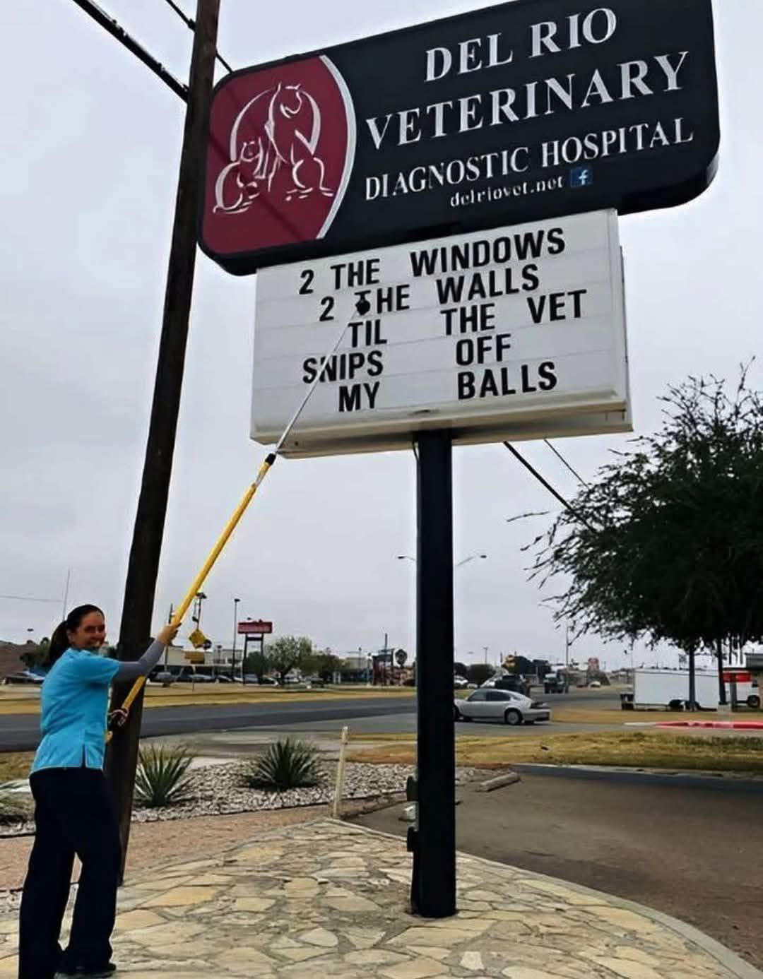 An image attached to this post, provided by the poster