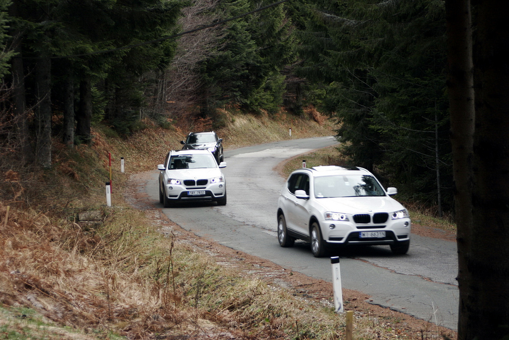 An image attached to this post, provided by the poster