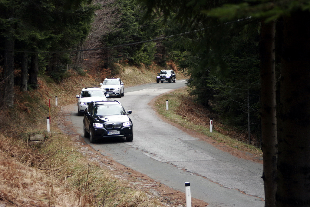 An image attached to this post, provided by the poster