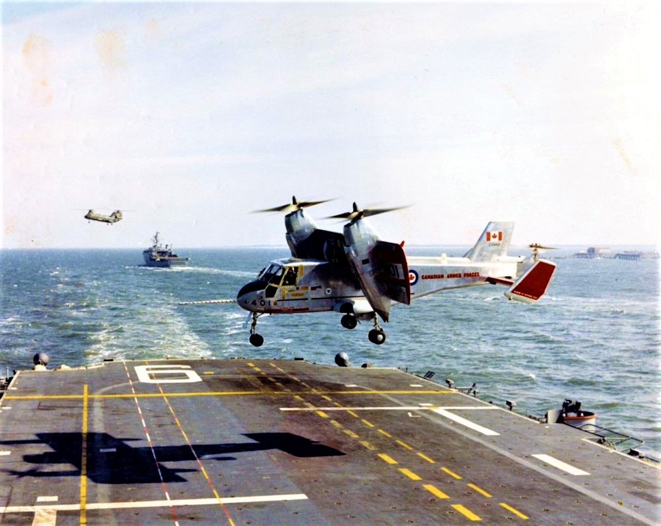 An image attached to this post, provided by the poster