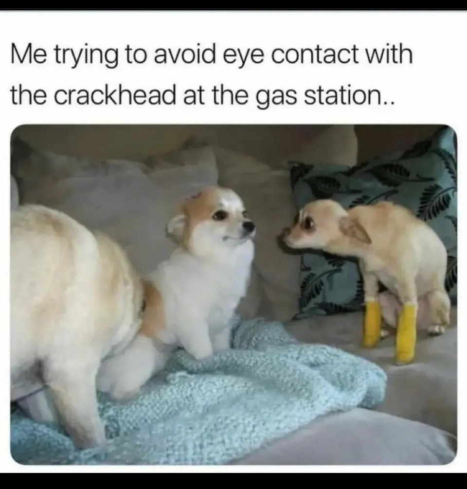 An image attached to this post, provided by the poster