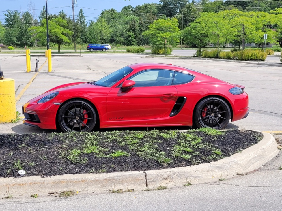 An image attached to this post, provided by the poster