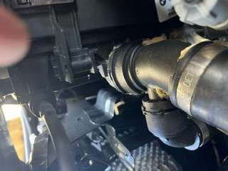 An image attached to this post, provided by the poster