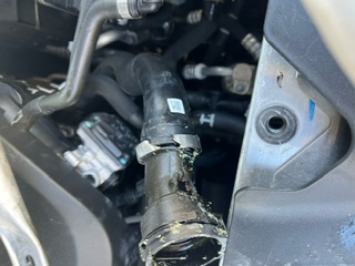 An image attached to this post, provided by the poster