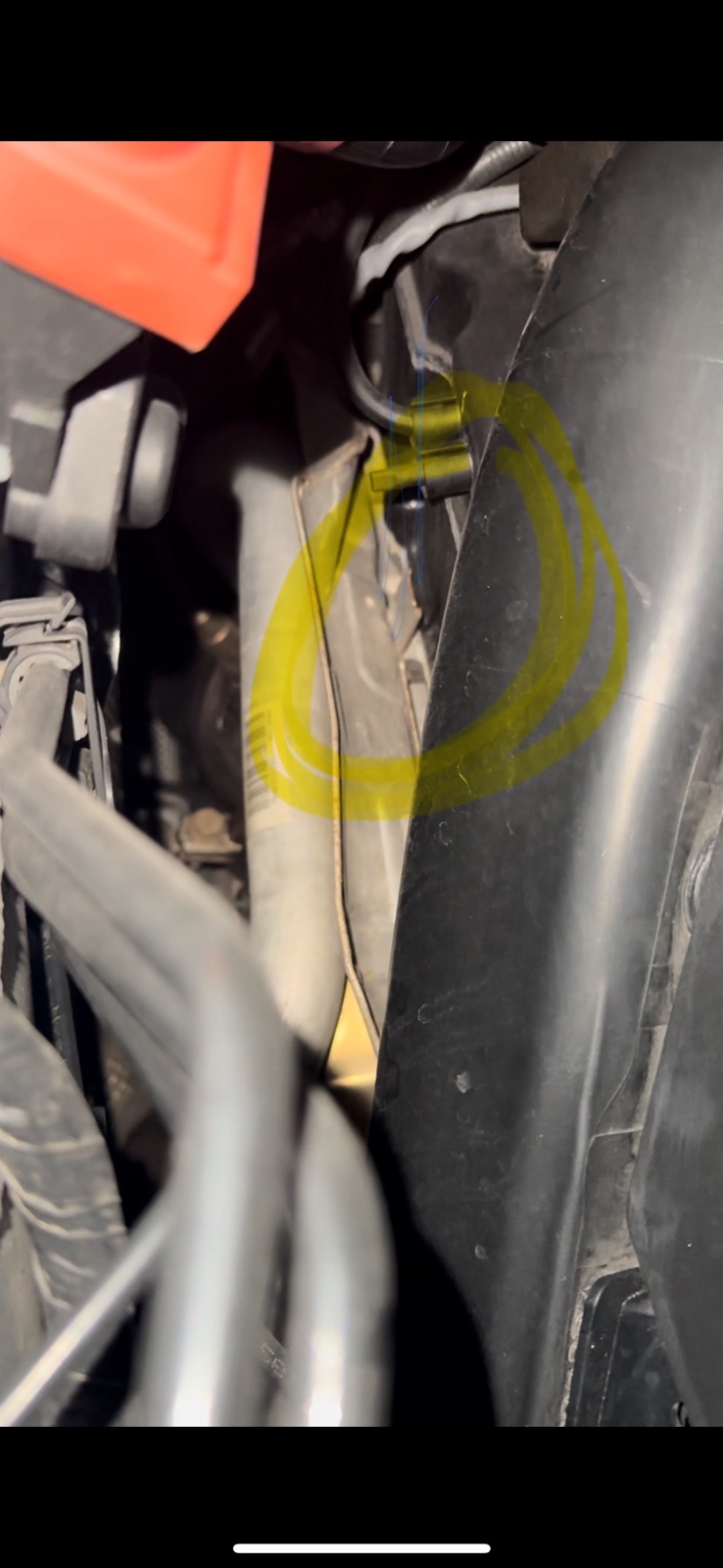 An image attached to this post, provided by the poster