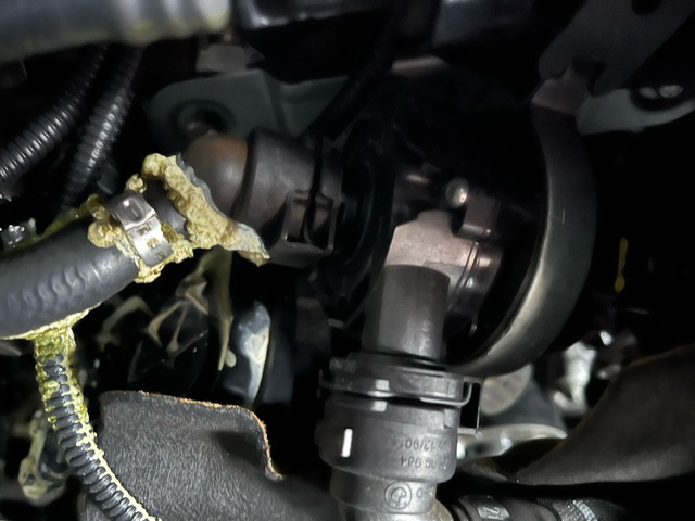 An image attached to this post, provided by the poster