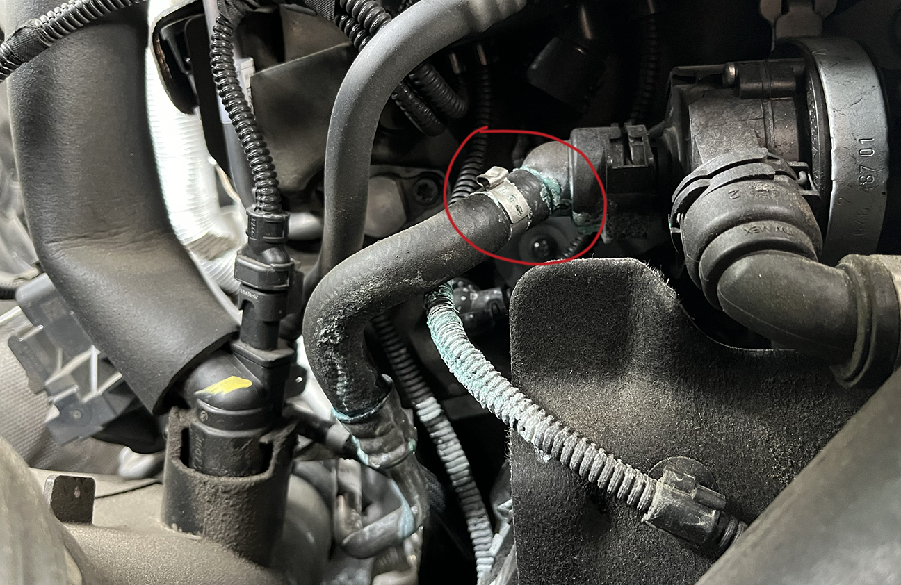 An image attached to this post, provided by the poster