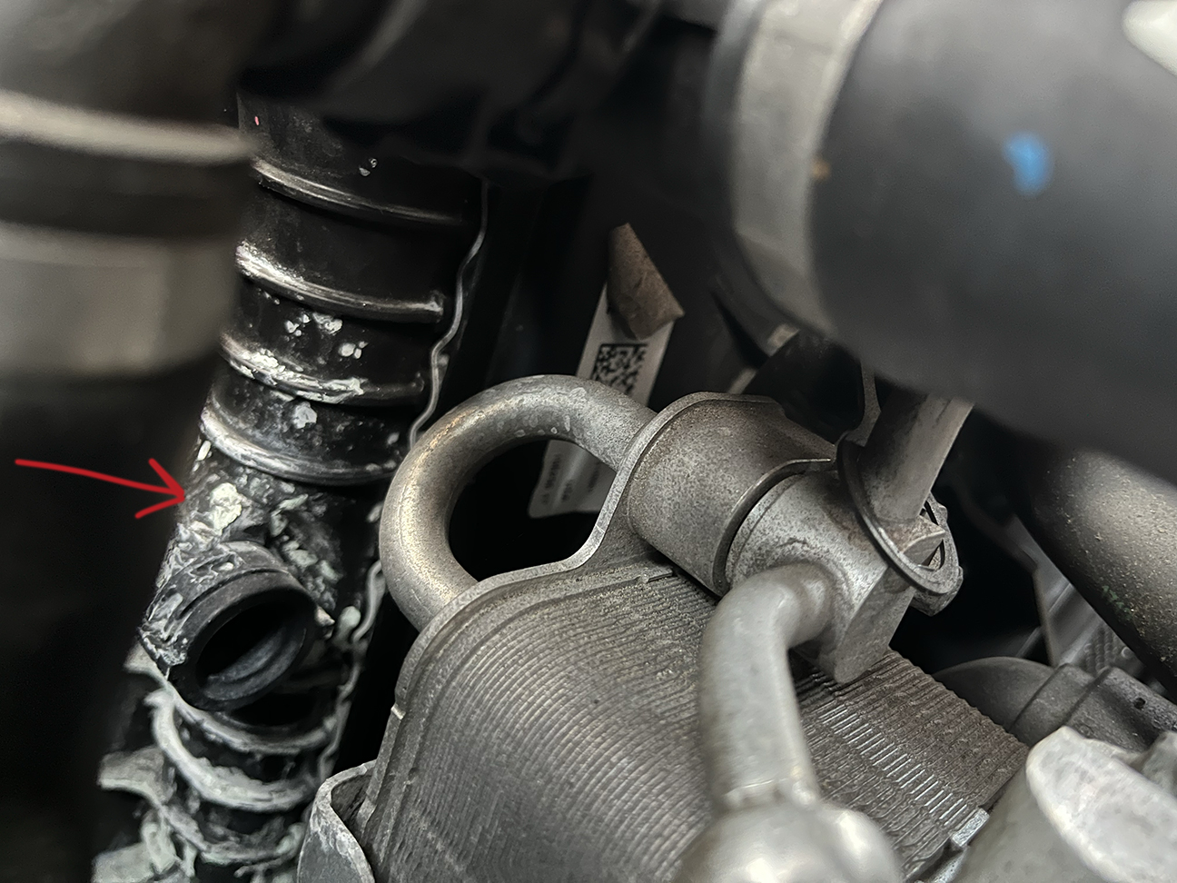 An image attached to this post, provided by the poster