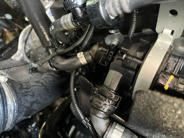 An image attached to this post, provided by the poster