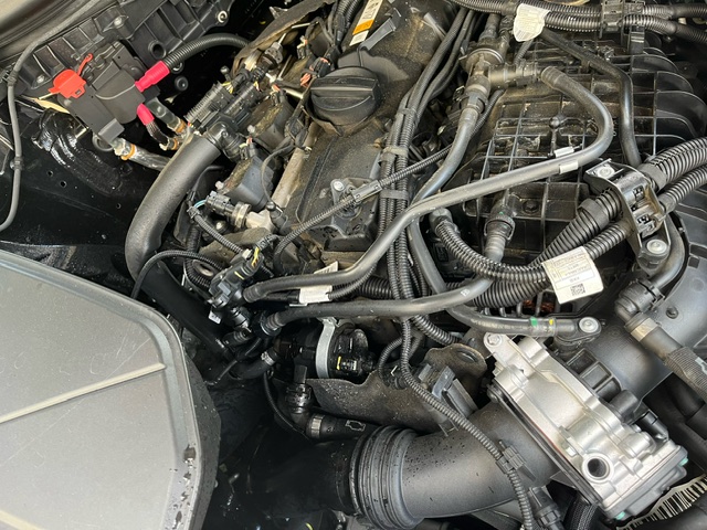 An image attached to this post, provided by the poster