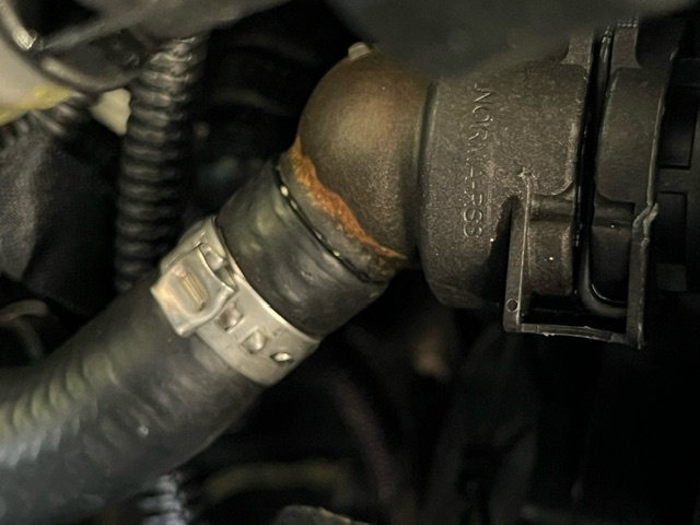 An image attached to this post, provided by the poster