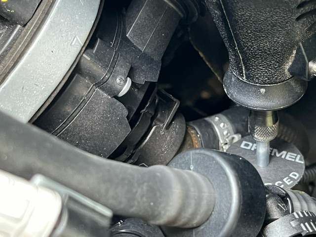 An image attached to this post, provided by the poster