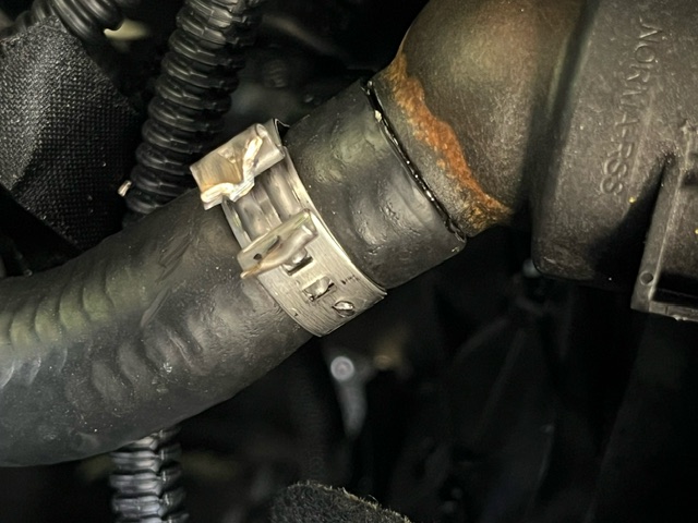 An image attached to this post, provided by the poster