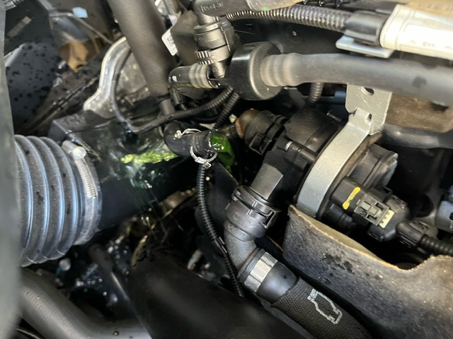 An image attached to this post, provided by the poster