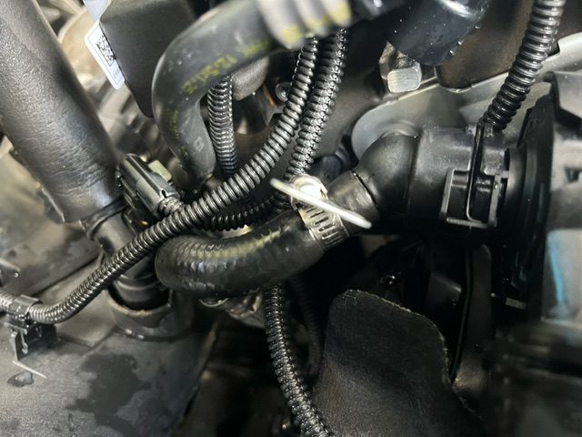 An image attached to this post, provided by the poster