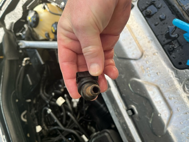 An image attached to this post, provided by the poster