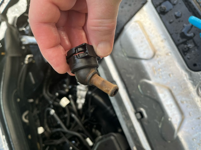 An image attached to this post, provided by the poster