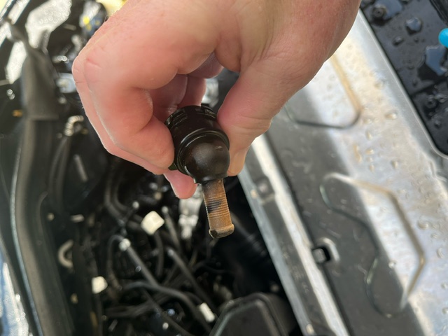 An image attached to this post, provided by the poster