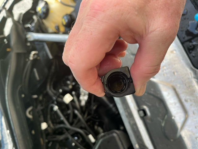 An image attached to this post, provided by the poster