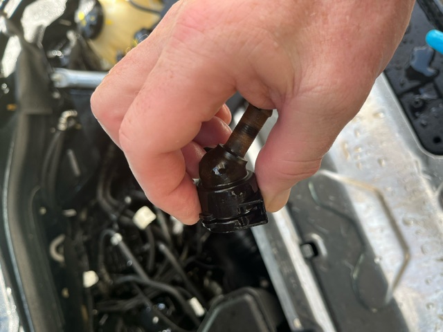 An image attached to this post, provided by the poster