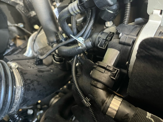 An image attached to this post, provided by the poster