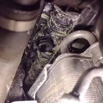 An image attached to this post, provided by the poster