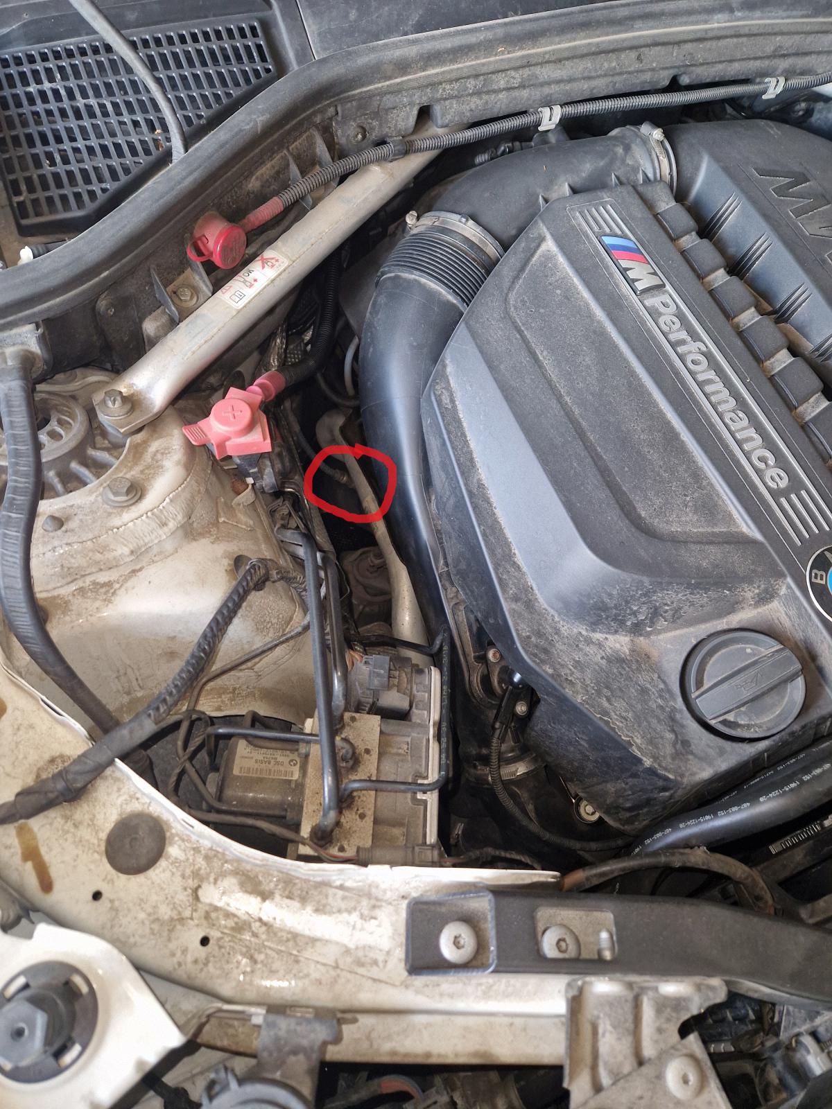 An image attached to this post, provided by the poster