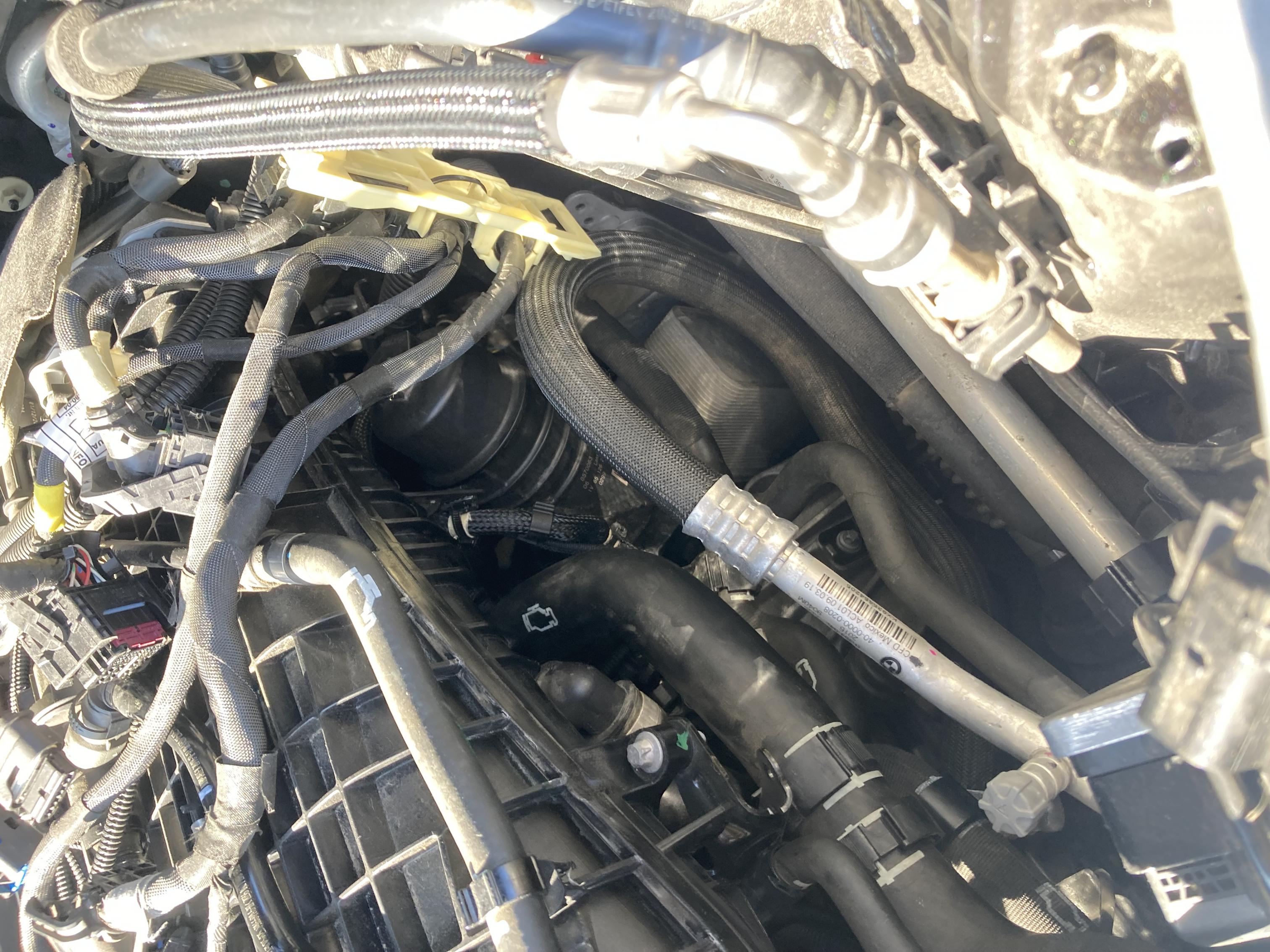 An image attached to this post, provided by the poster